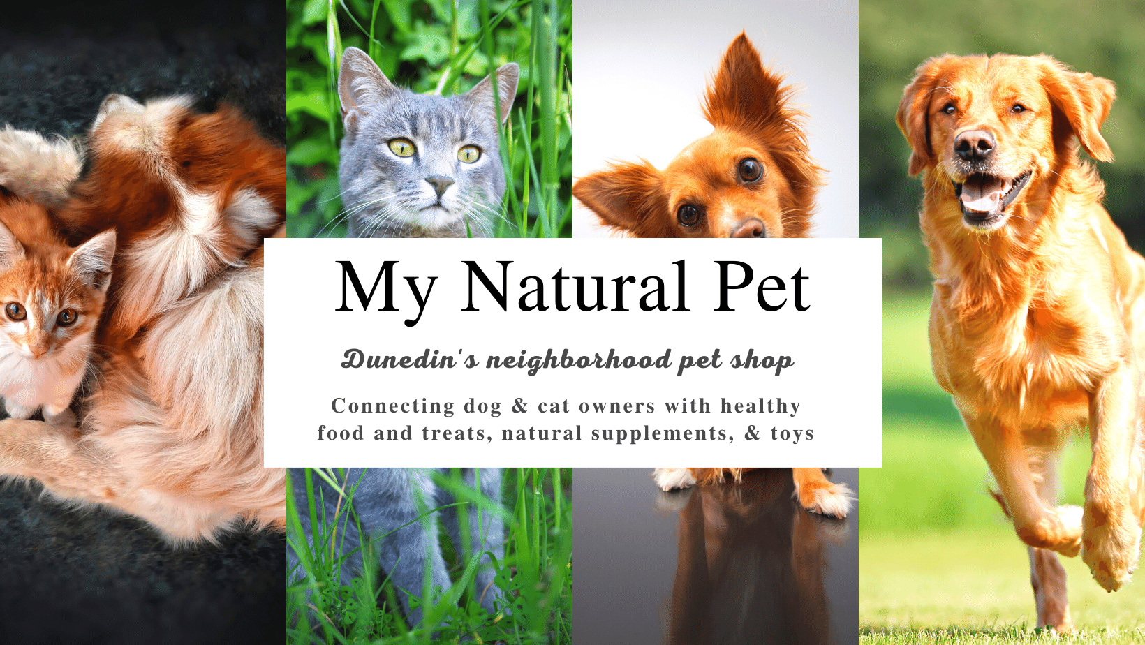 My Natural Pet Supply